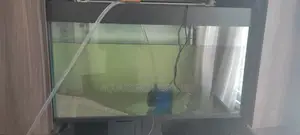 Professional Aquarium Maintenance Contract