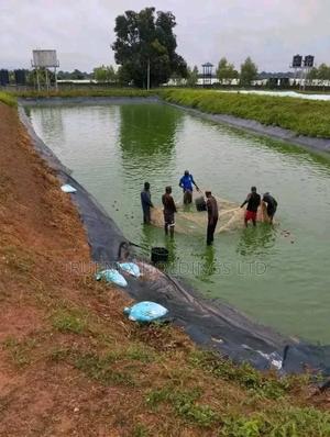 Fishpond Farming Worthy to Invest In