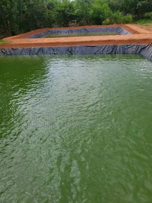 Fishpond Services for Incredible Aquaculture Business