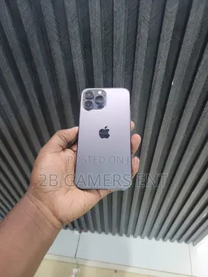 Apple iPhone 13 Pro Max 256 GB Gray
