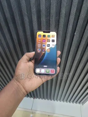 Apple iPhone 13 Pro Max 256 GB Gray