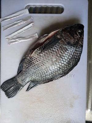 Fresh Raw and Fried Fish - main view