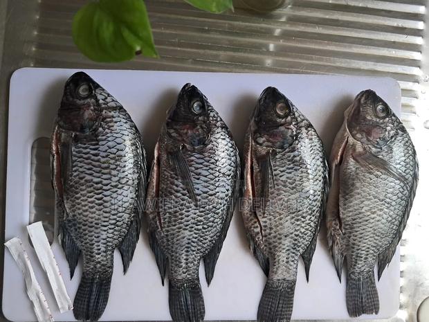 Fresh Raw and Fried Fish - thumbnail 3