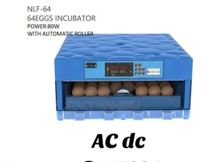 64 Eggs Incubator Machine/ Automatic 64 Eggs Incubator