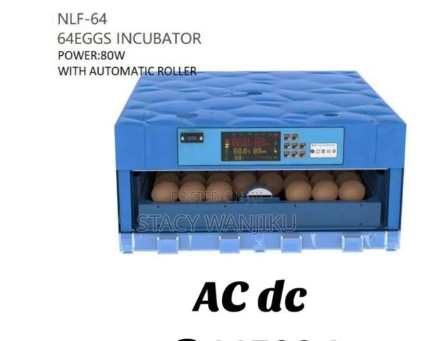 64 Eggs Incubator Machine/ Automatic 64 Eggs Incubator