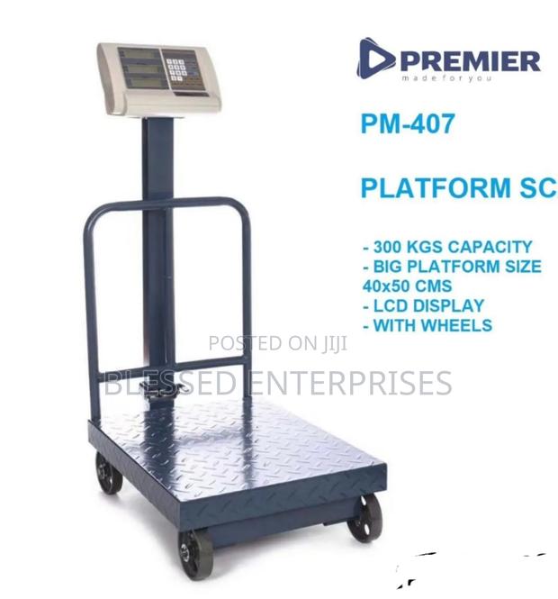 300kgs Digital Weighing Scale/ Digital Weighing Scale