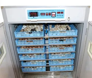 Eggs Automatic Incubator_528eggs
