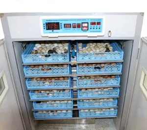 2112 Eggs Automatic Incubator