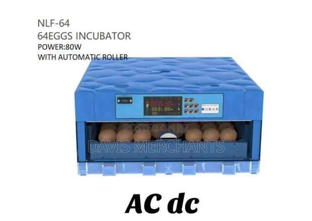 NFL-64 Eggs Automatic Incubator_ac/Dc