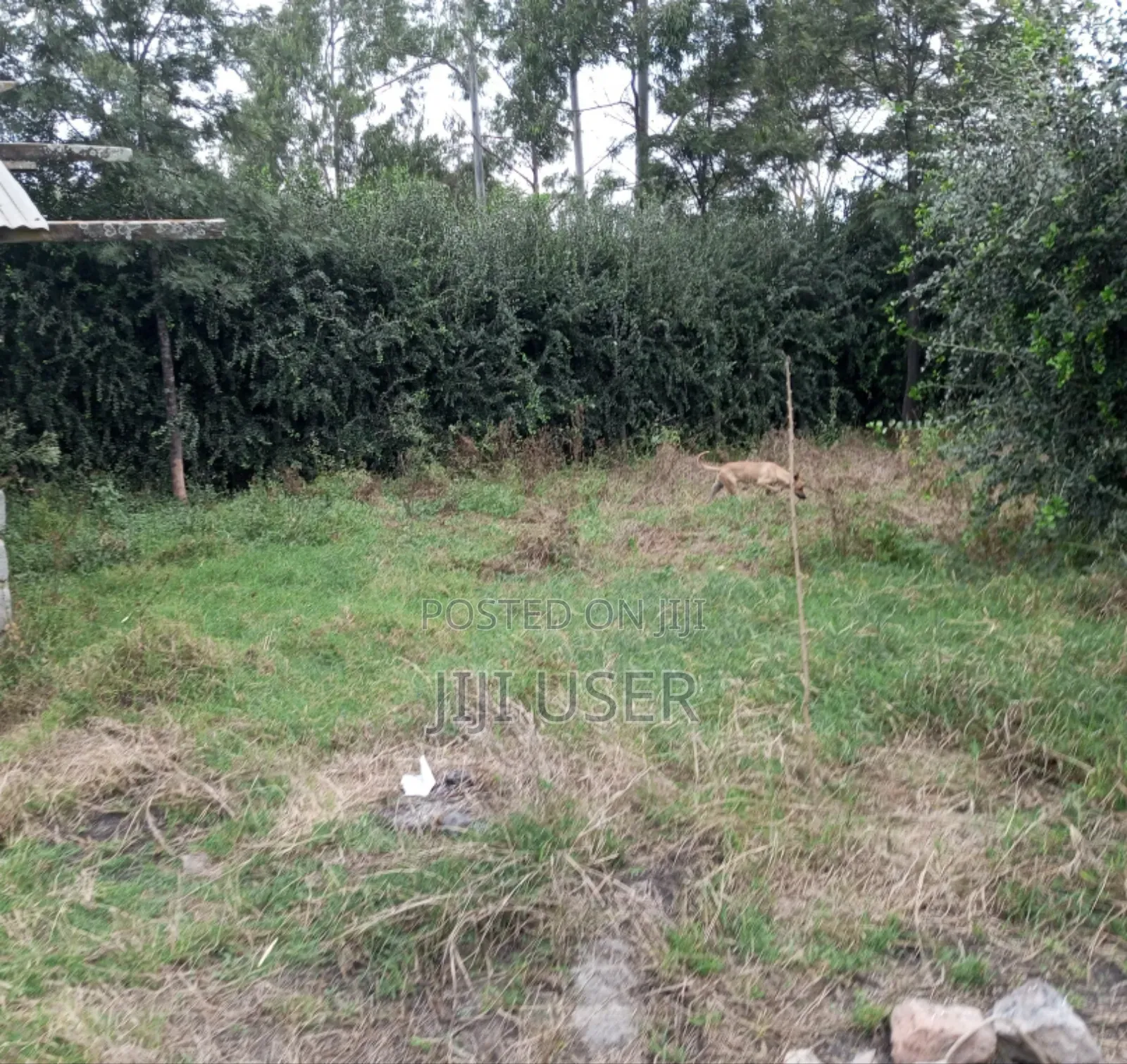 Quarter Acre for Sale at Kitengela Near Sensei