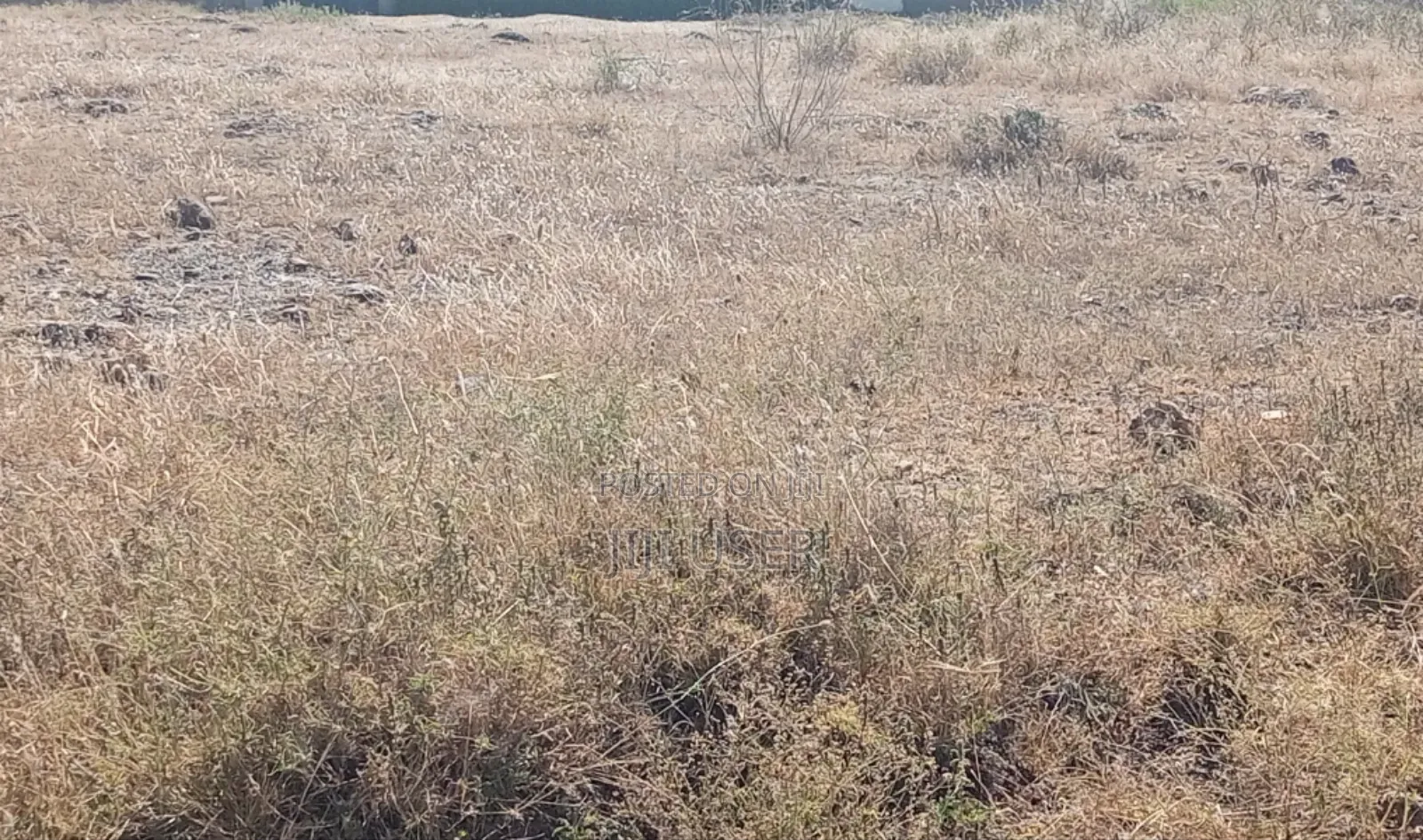 Quarter Acre for Sale at Kitengela Near Sensei