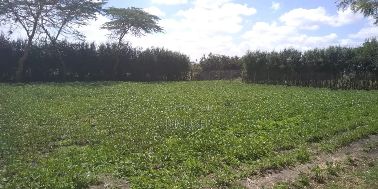 Quarter Acre for Sale at Kitengela Near Sensei
