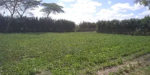 Quarter Acre for Sale at Kitengela Near Sensei