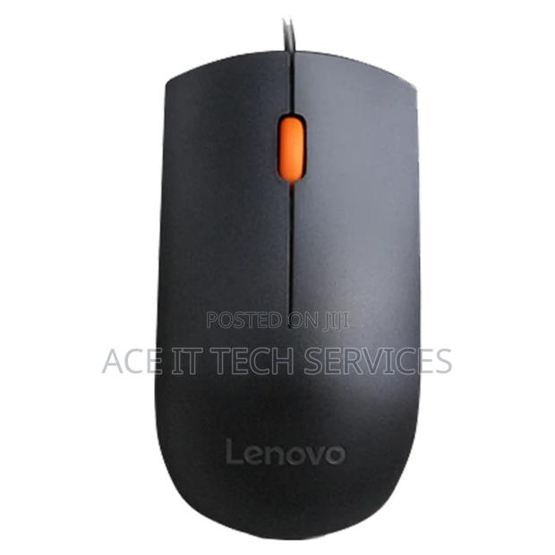 Lenovo 300 Wired USB Mouse - Black - GX30M39704