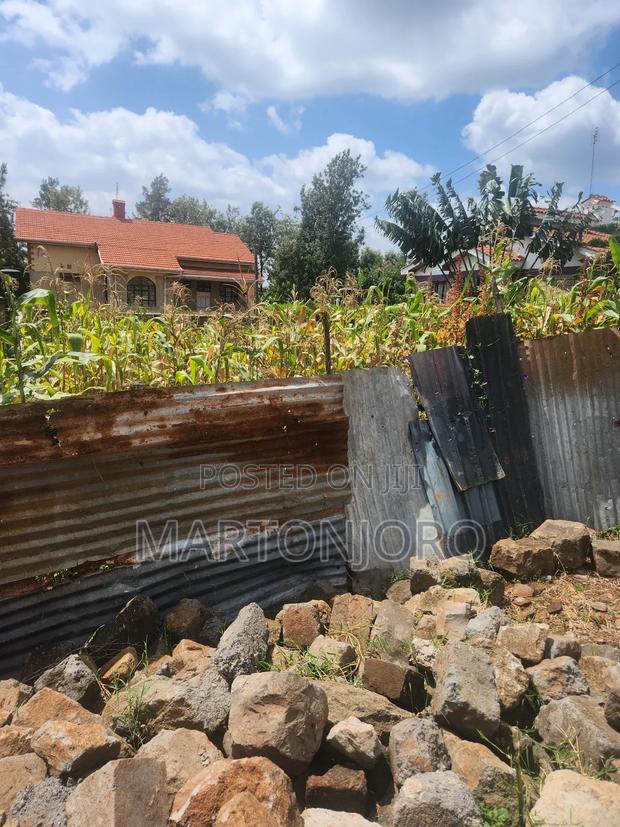 Marurui Residential Plots - thumbnail 3