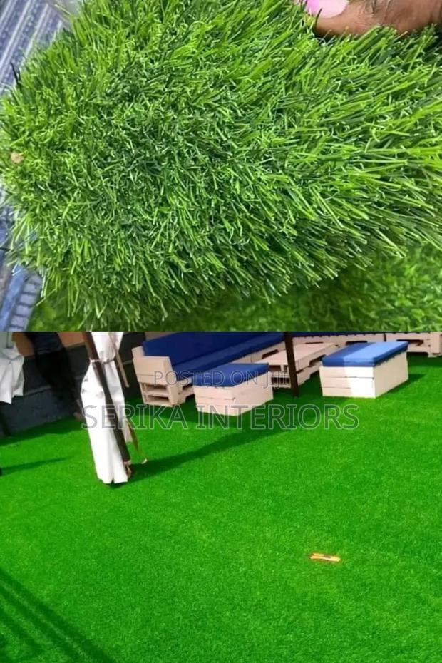 Artificial Grass Carpets Well Maintained - main view