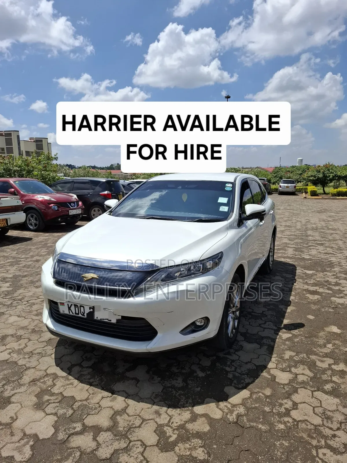 Harrier for Hire