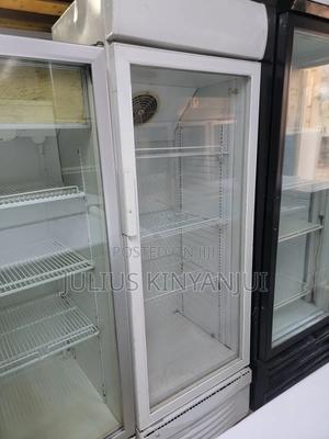 380 Litres Beverages Display Chiller - main view