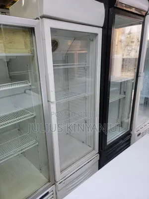 380 Litres Beverages Display Chiller