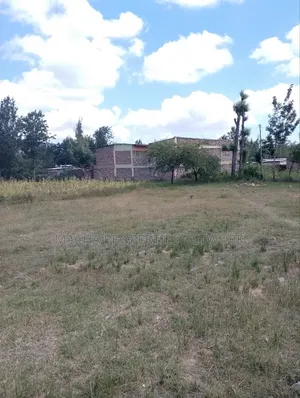 Plot 50 by 100ft -Machakos Kangundo Rd -Kwangongo