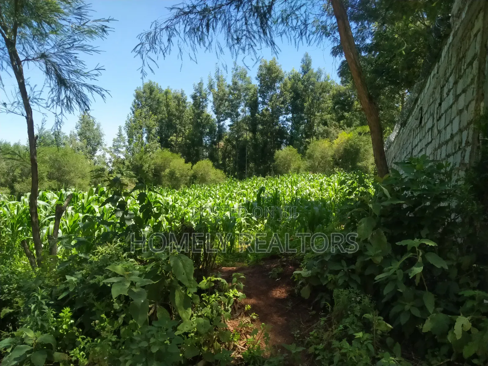 Quarter Acre Plot in Ngong Along Lemiso Road Near Tarmac