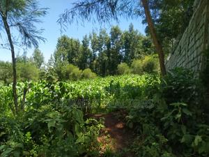 Quarter Acre Plot in Ngong Along Lemiso Road Near Tarmac - main view