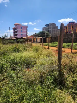 Muigai Inn Commercial Plots