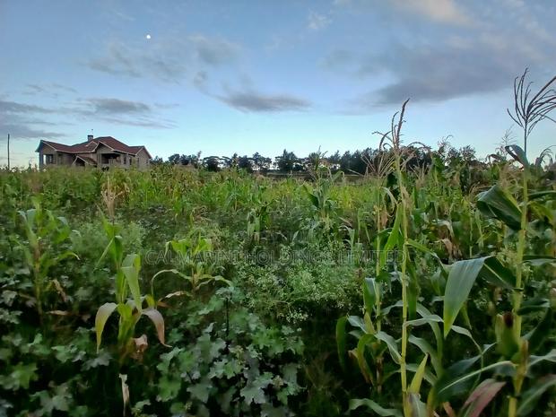 Prime 100 by 100 Plot in Upper Matasia Gated Neighborhood - main view