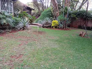 0.8 Acre Land in Lavington for Sale