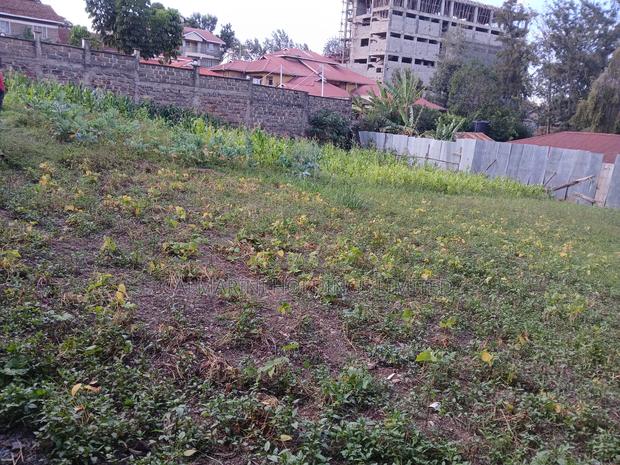Prime Commercial 100 by 100 Plot in Ngong CBD - thumbnail 3
