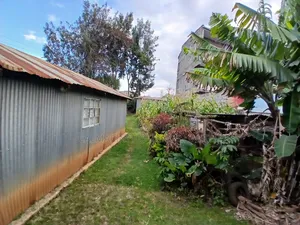 Commercial Full 50 by 100 Plot in Matasia CBD