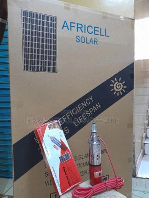 Solar Pump + Panel 300 Watts 24 Volts 50m Deep - thumbnail 2