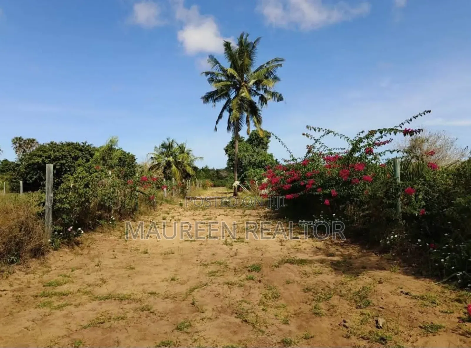 Prime Plot -Diani Lunga Lunga