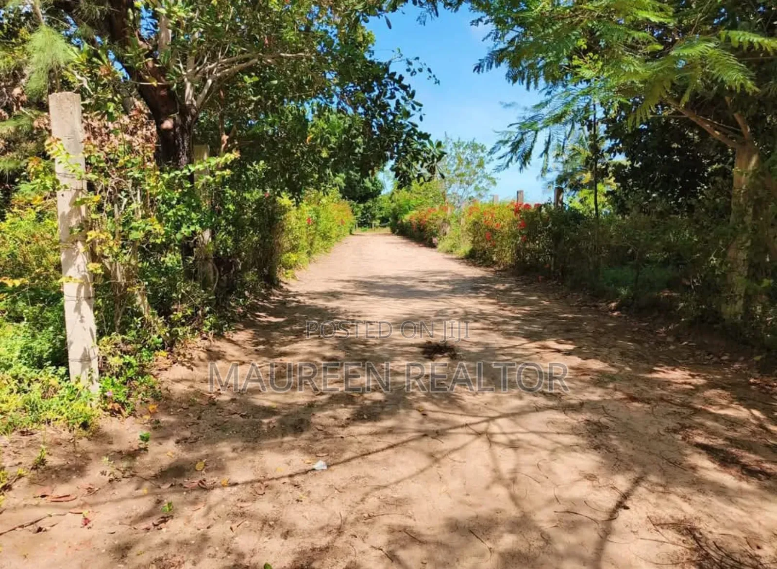 Prime Plot -Diani Lunga Lunga