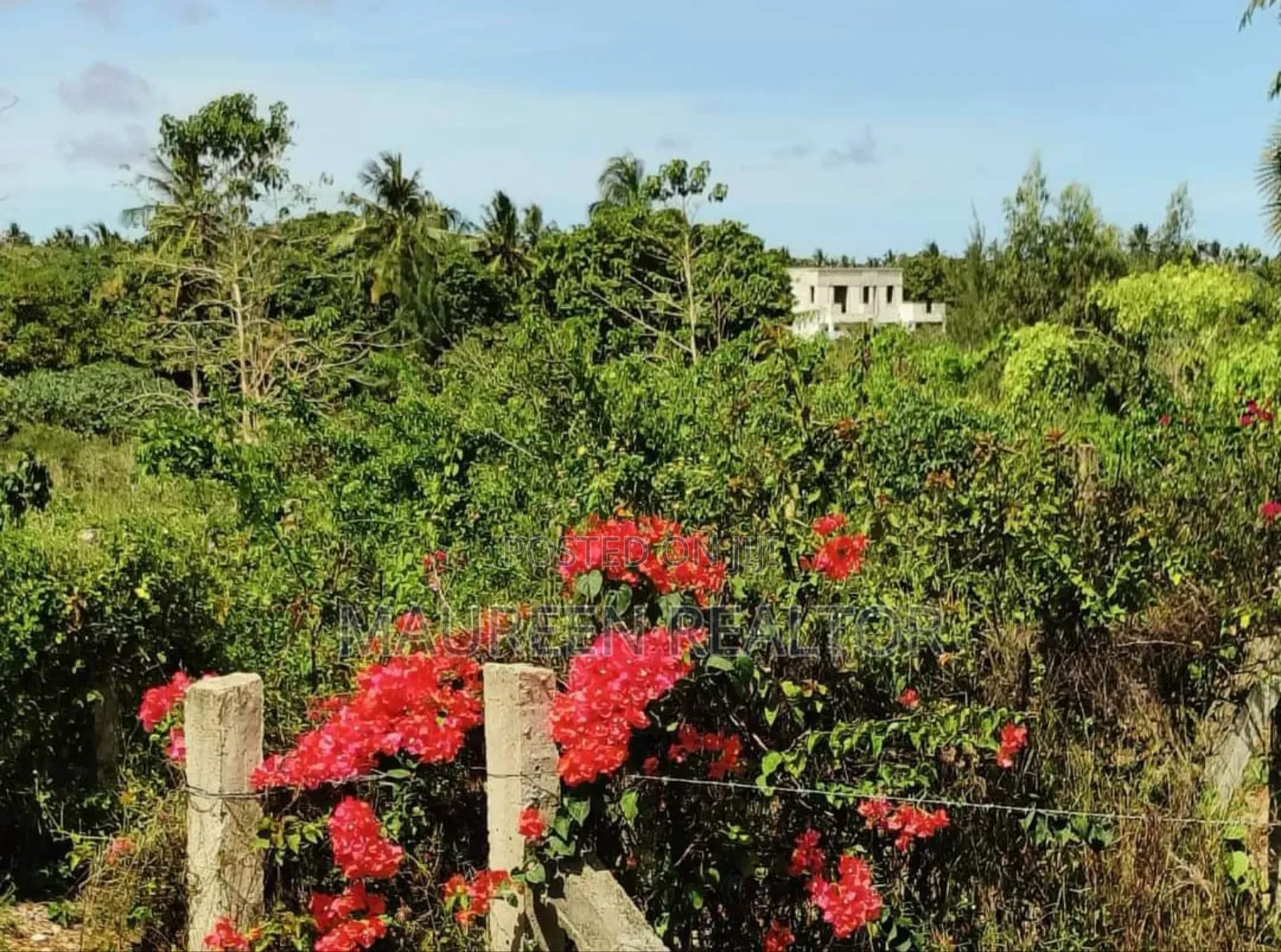 Prime Plot -Diani Lunga Lunga