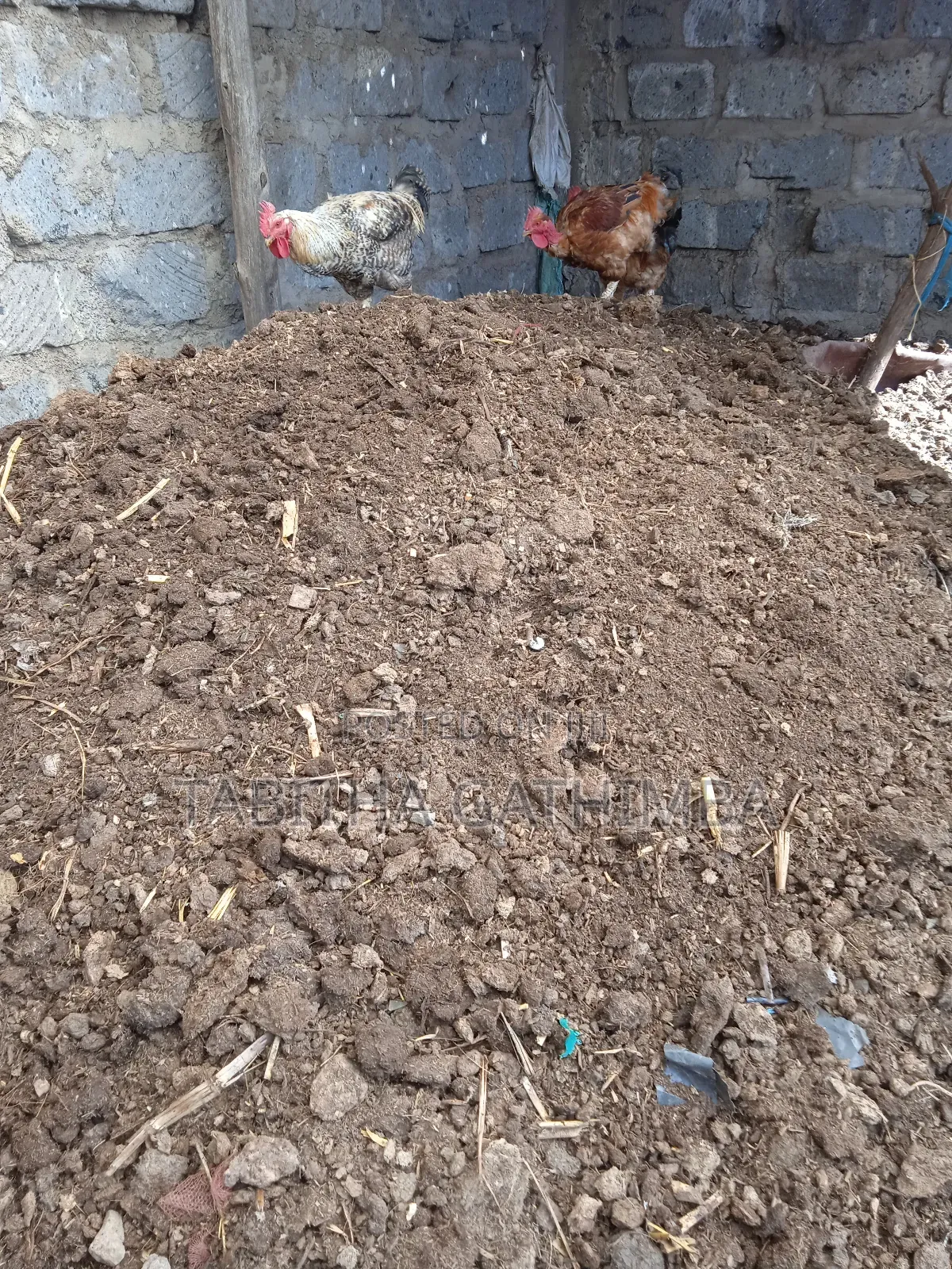 Chicken Manure. Goat, and Cow Manure