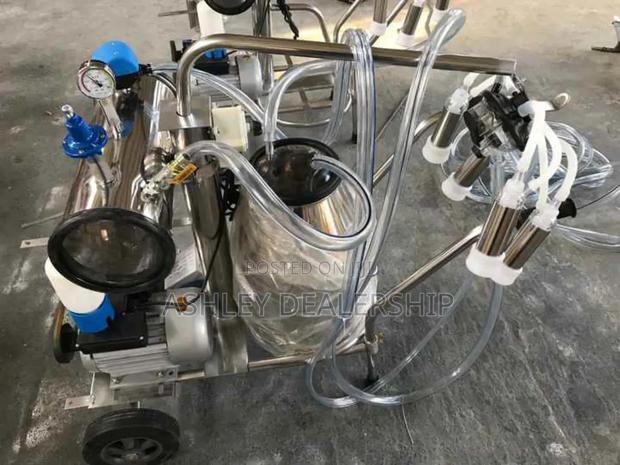 Portable Double Milking Machine