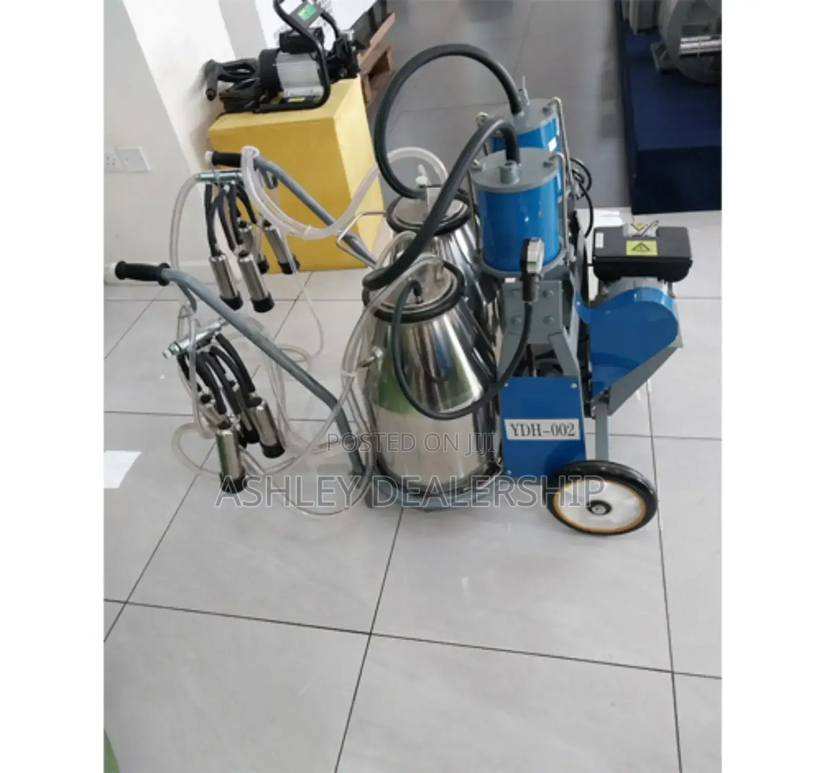 Automatic Milking Double