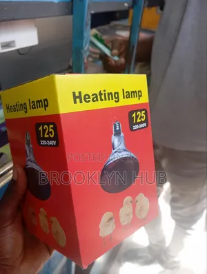 Heat Bulb* Chicken Bulb