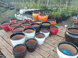 Thika Palm Clay Pots,Clay Pots