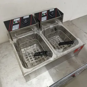 Amazing Electric Fryer .