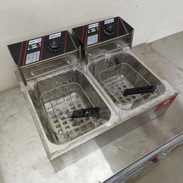 Amazing Electric Fryer .