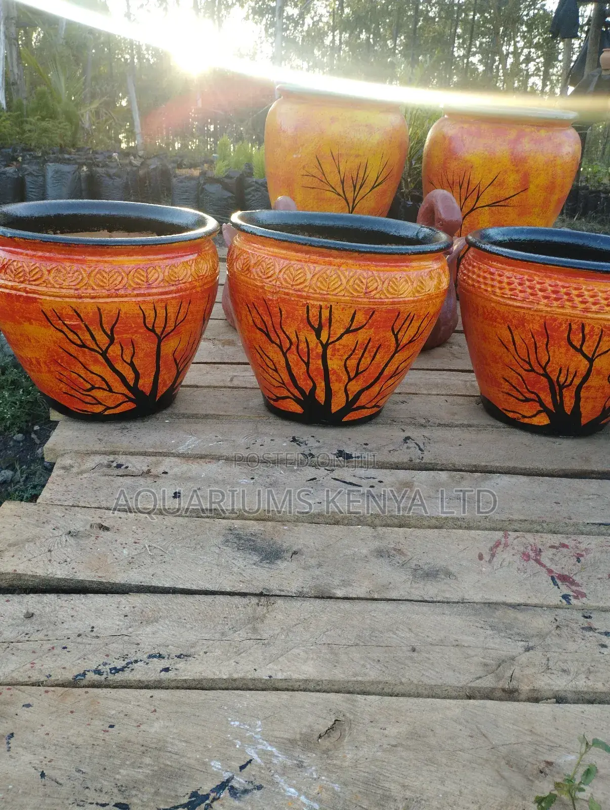Sunset, Sunrise Claypots,Flower Pots