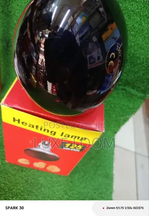 Heat Chicks Lamp 250w