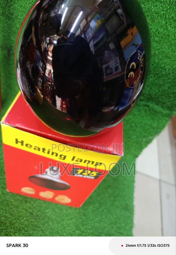 Heat Chicks Lamp 250w