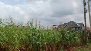 Plots for Sale in Mugutha, Ruiru at Kes 3.5M