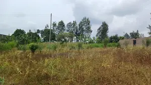 Plots for Sale in Mugutha, Ruiru at Kes 3.5M