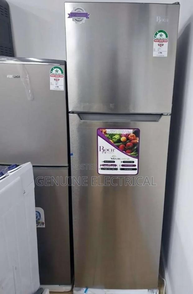 Roch 255 Litres No Frost RFR-325dtn-1 Double Door