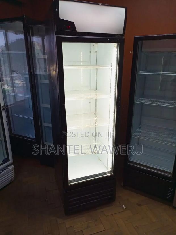 5 Unique Trays Display Fridge - main view