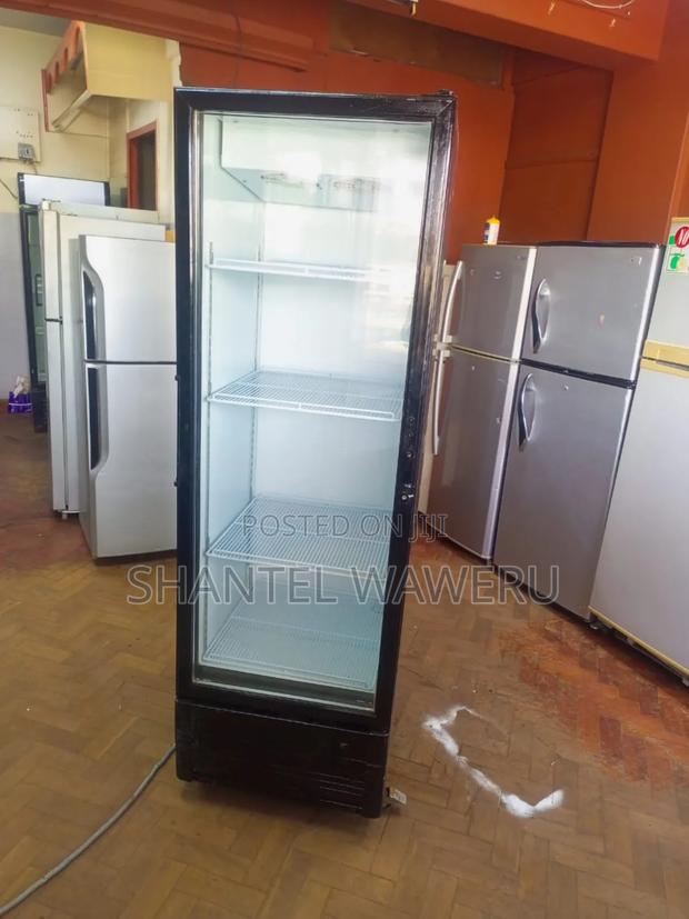 Pocket Friendly Display Fridge 355litres - main view